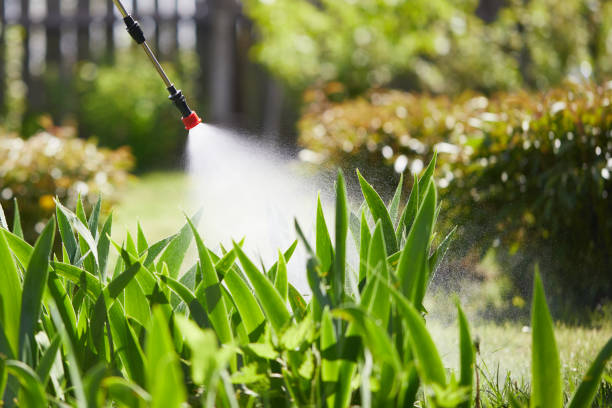 Tamper-Resistant Bait Stations for Rodents in Charleroi