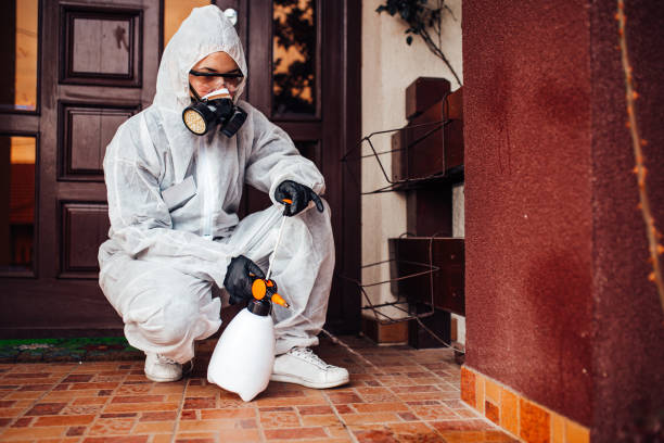 Attic and Crawl Space Rodent Treatment in Charleroi