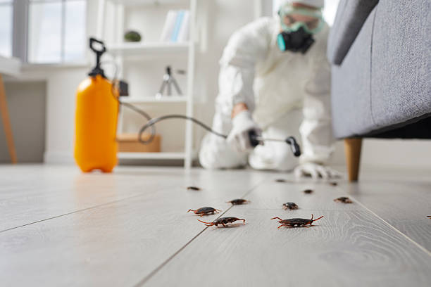 Commercial Rodent Management in Charleroi
